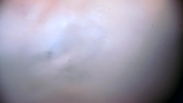 lightburn3