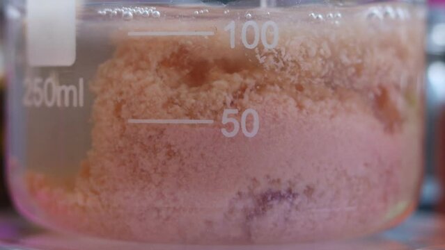 The chemical process of forming a large amount of the water-insoluble, pale pink manganese sulfide in a beaker.