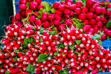 vegetable at a farmers market