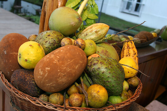Basket with tropical fruits common in Brazil