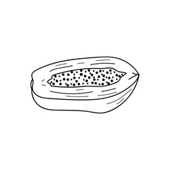 Papaya slice doodle illustration in vector. Hand drawn icon of sliced papaya in vector.