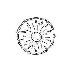 Pineapple slice doodle illustration in vector. Hand drawn icon of sliced pineapple.