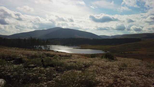 Aerial view of loch Auchintaple, Scotland
