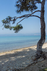 Landscape of coastline of Thassos island, Greece