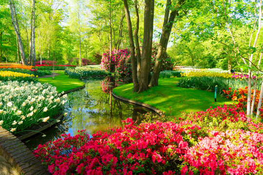fresh spring lawn with blooming with white daffodil flowers, various tulips under green tree in formal garden, water spring in background, retro toned