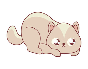 pet cat icon