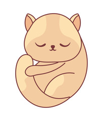 sleep cat icon