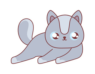 resting cat icon