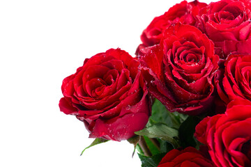 Crimson red rose flowers bouquet close up isolated on white background