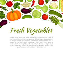 Fresh vegetables banner template with space for text. Farm organic vegetables, fresh healthy food card, poster cartoon vector