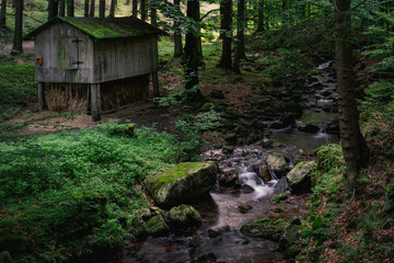 Hunting shed in mountain forest on the bank of forest stream. Sudety mountains, Wilczka river - 558233413