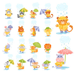 Cute baby animals walking with umbrellas under rain. Cute giraffe, tiger, mouse, lion, bear, rabbit in raincoats having fun outdoors cartoon vector