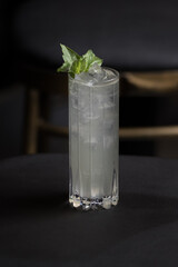 mojito cocktail with mint