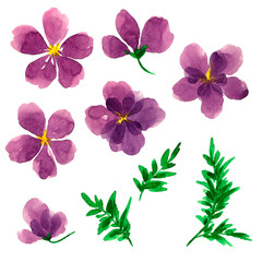 Drawn purple watercolor airy flowers. Decor set. Clip art. Elements. Purple flowers. Holidays. Making postcards. Watercolor. Texture.