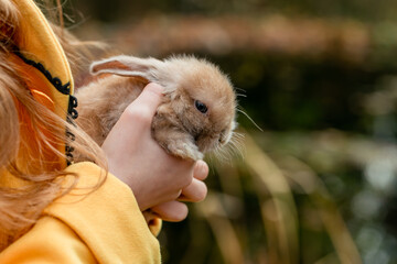 Fluffy little fox rabbit in children's hands on an autumn background