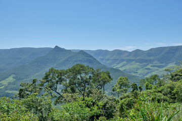 Obraz premium Green landscape with trees and mountains