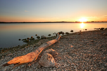 Sonnenuntergang am Altmühlsee mit angeschwemmten Holzstamm am Ufer, Gunzenhausen, Bayern,...