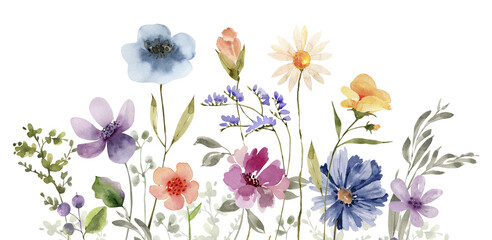 Border of delicate multicolored  flowers, watercolor illustration for design.	 - 558245439