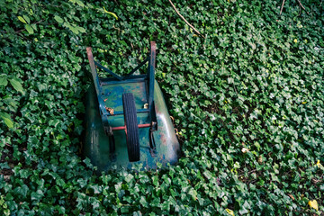 Old wheelbarrow turned over on a bed of green leaves
