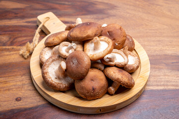 Fresh brown Lentinula edodes or shiitake edible mushrooms