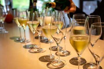Tasting of brut and reserve champagne sparkling wine produced by traditional method in underground caves in Champagne, France