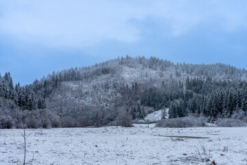Carpathian mountains in Richka, Nord-East slopes of Polonina Borzhava, Ukraine