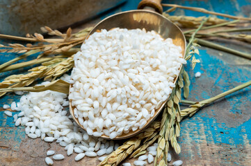 White italian arborio rice used for making risotto dish