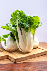 Young organic white bok choy or bak choi Chinese cabbage ready to cook