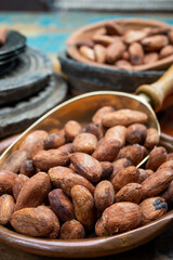 Cocoa or cacao beans, used in hot chocolate drink, chocolate, butter and solids