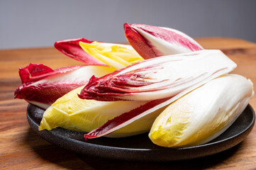 Fresh organic Belgian endivi or green and red chicory lettuce close up