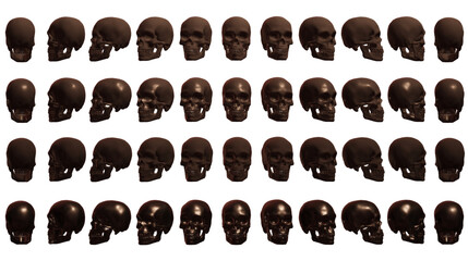 skull, human face