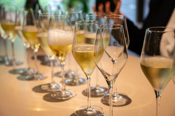 Tasting of brut and reserve champagne sparkling wine produced by traditional method in underground caves in Champagne, France