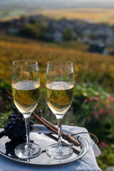 Tasting of premier cru sparkling white wine with bubbles champagne on outdoor terrace with view on colorful vineyards in Hautvillers in October, near Epernay, France