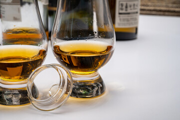 Tasting of whiskey, tulip-shaped tasting glasses with dram of Scotch single malt or blended whisky on white table