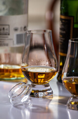 Tasting of whiskey, tulip-shaped tasting glasses with dram of Scotch single malt or blended whisky on white table