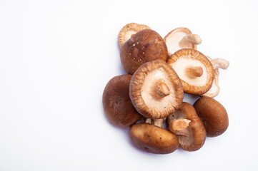 Fresh brown Lentinula edodes or shiitake edible mushrooms isolated on white background
