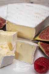 Cheese collection, French brie de Meaux cheese from Seine-et-Marne region with white mold