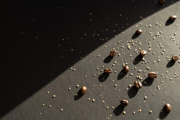 Coffee beans and cane sugar in a beam of light on a black paper background