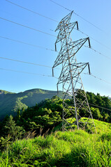 Obraz premium 道志山塊の赤鞍ヶ岳 赤鞍ヶ岳・大栗コースに建つ鉄塔 道志山塊 赤鞍ヶ岳 赤鞍ヶ岳・大栗コース 送電線「佐久間東幹線」No.339より赤鞍ヶ岳 