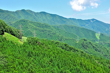 道志山塊の菜畑山　菜畑山・和出村コースより道志山稜縦走コースを望む
道志山塊　菜畑山　菜畑山・和出村コース　佐久間東幹線鉄塔付近より左から赤鞍ヶ岳（ワラビタタキ）、長尾（長尾山）
