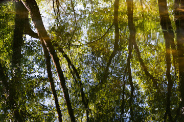 Parque Urbano do Rio Ul, São João da Madeira, Portugal
