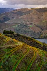 Fototapeta na wymiar Viewpoint view of terraced vineyards autumn romantic in Douro valley near Pinhao village, heritage of humanity 