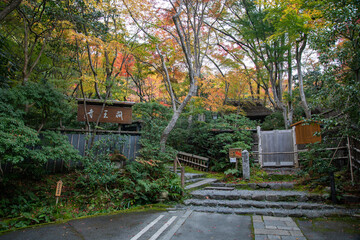 Autumn leaves at Gioji temple, Kyoto, Japan