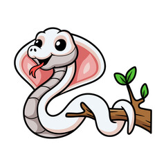 Cute leucistic cobra snake cartoon on tree branch