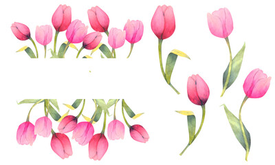 Watercolor illustration with Magenta tulips. Separated elements, frames, wreath and borders. Watercolor spring floral ornament.
