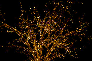 Garlands on tree. Light bulbs in dark.