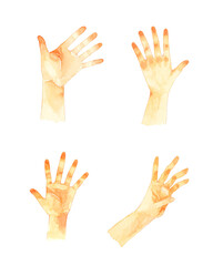 手の平を広げるポーズのセット　手描き水彩イラスト素材集