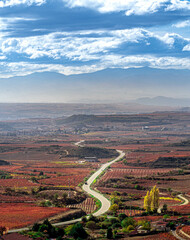 Los vi&ntilde;edos de la Rioja Alavesa en oto&ntilde;o, Pa&iacute;s Vasco