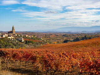 Fototapeta na wymiar Los viñedos de la Rioja Alavesa en otoño, País Vasco