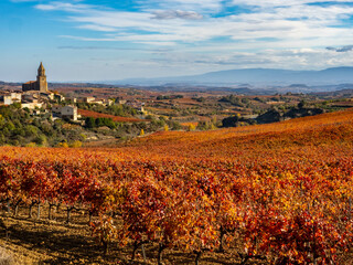 Los viñedos de la Rioja Alavesa en otoño, País Vasco